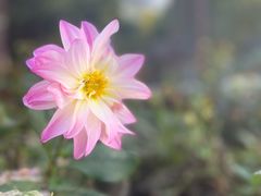 -崇圣寺三塔文化旅游区