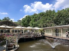 -芭厘·农庄老字号.电饭煲五指毛桃焗鸡