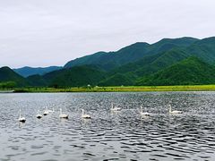 -大九湖