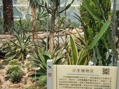 -郑州植物园