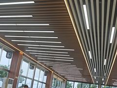 -老太太海鲜城(森林公园任家台店)