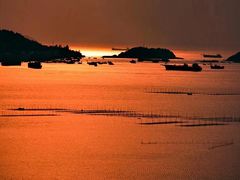 -渔寮风景区