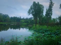 -东郊湿地公园