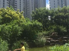 -新湖明珠城