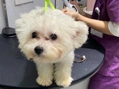 -宠颐生动物医院·小陆分院