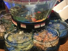 -陶陶居海鲜酒家(新马路店)