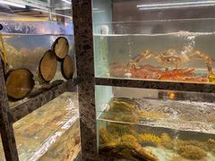 -甄御•海鲜新青岛菜(麦岛店)