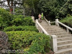 -九龙潭景区