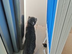 -佳雯宠物医院·皮肤科·内外科(春晓路分院)