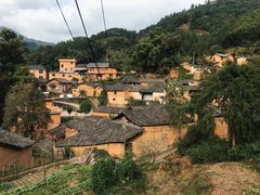 -杨家堂村