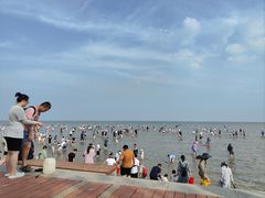 -刘家湾赶海园