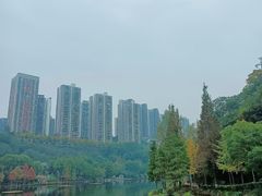 -重庆彩云湖湿地公园