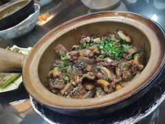 金牌黄鳝饭-红星光发煲仔饭(文海店)
