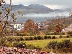 -塔川景区
