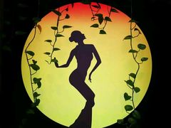 -雀舞云南菜(天津天河城购物中心店)