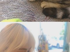 -平行世界·猫咖(首经贸店)
