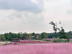 -上海滨江森林公园