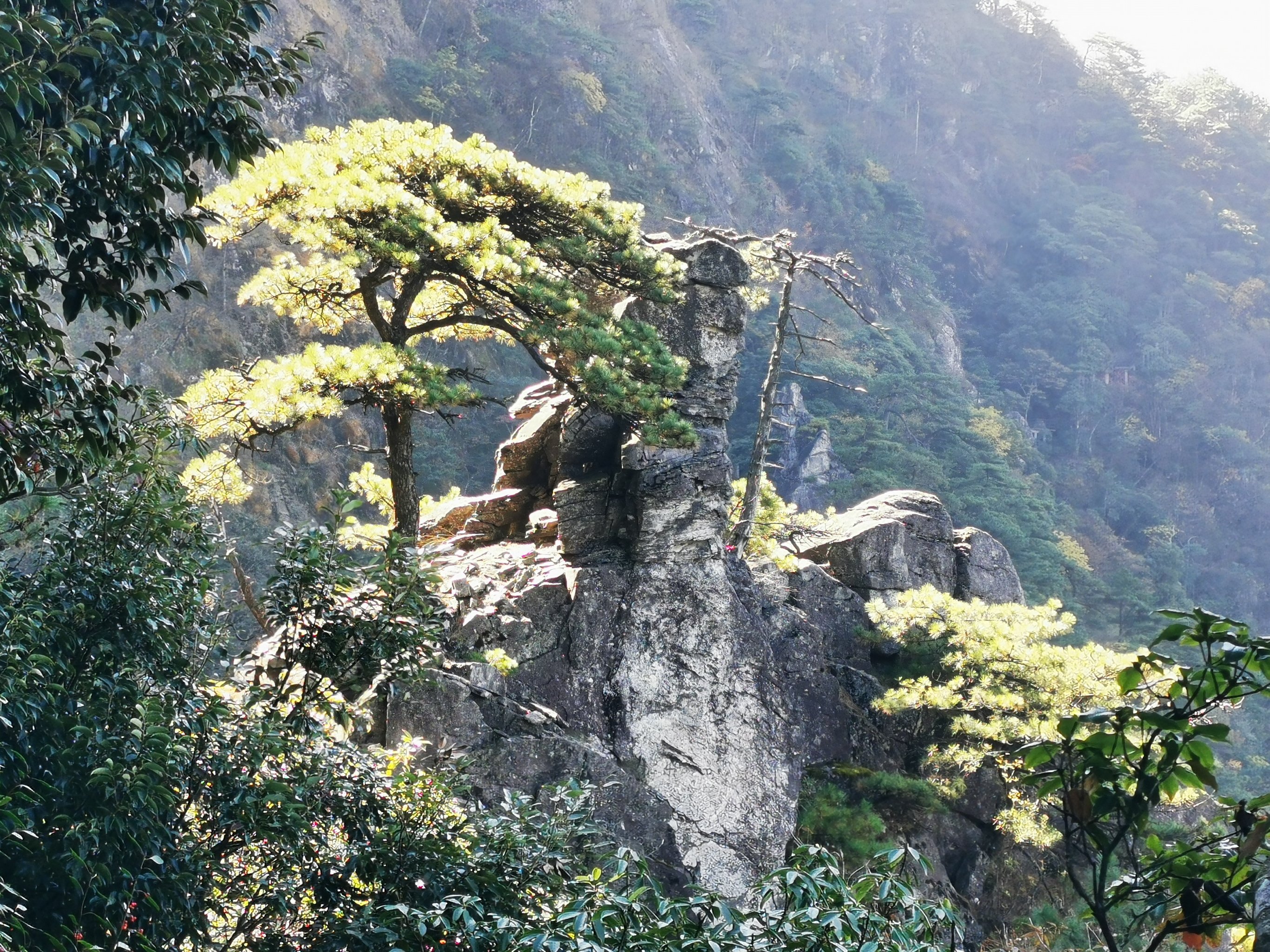 武功山秋天图片