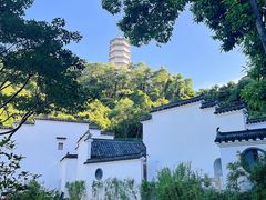 -深圳国际园林花卉博览园