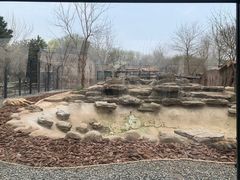 -北京野生动物园