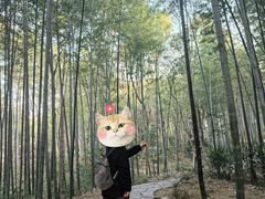 -青龙山国家森林公园
