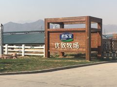 -君乐宝优致牧场
