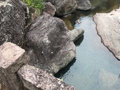 -龙湾潭国家森林公园