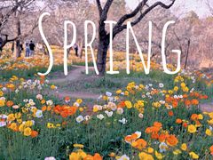 -名花谷生态庄园