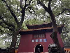 -普陀山风景名胜区-法雨禅寺
