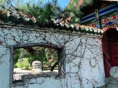 -北陵公园