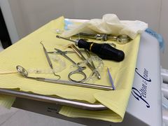 -齐玉齿科JADENTAL