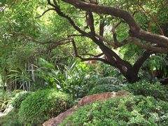 -晓港公园