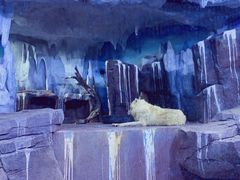 -多彩贵州城极地海洋世界