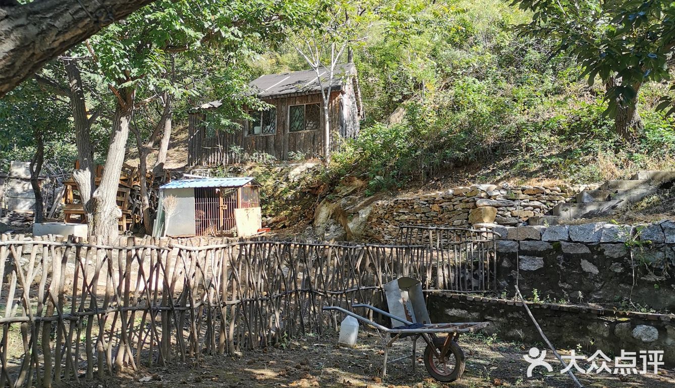 依山而建，满地马陆千足虫和栗子壳儿🌰