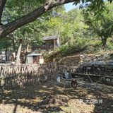 依山而建，满地马陆千足虫和栗子壳儿🌰