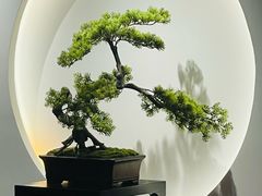 -席仁堂推拿按摩脊柱调理(世纪科贸大厦店)