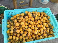 -塘栖枇杷特色园区