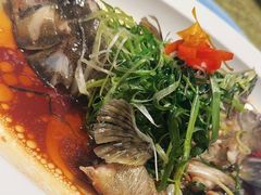 -粤珍轩·家宴·广式茶点(新城广场店)