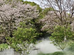 -凤凰沟景区