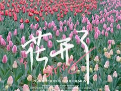 -国家植物园