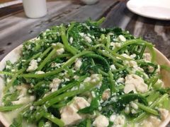 芝麻菜炒豆腐-苍洱春饭店
