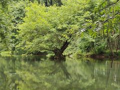 -西溪南古村落景区