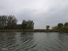 -微山湖红荷湿地景区