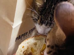 -PAPER STONE BAKERY(天环店)