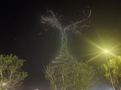 -万绿园