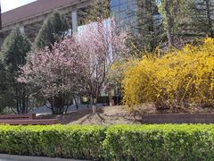 -中关村生命科学园