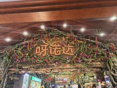 -呀诺达热带雨林