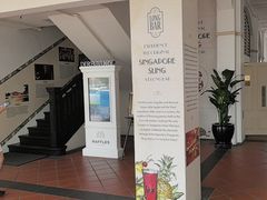 -Long Bar(莱佛士酒店)