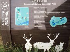 -北京麋鹿生态实验中心