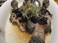 -觅唐MITONG(鸟巢店)